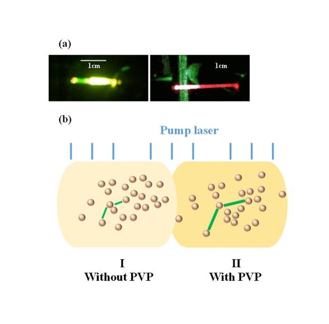 上海光机所在光子晶体光纤随机激光研究方面取得进展